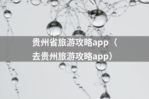 贵州省旅游攻略app（去贵州旅游攻略app）
