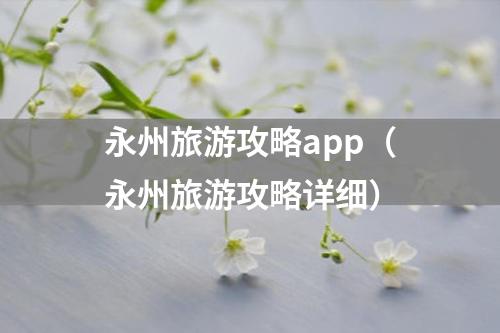 永州旅游攻略app（永州旅游攻略详细）