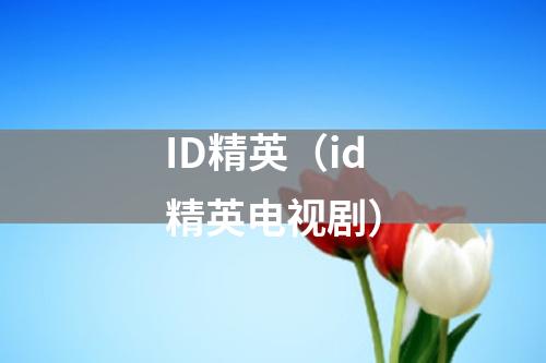 ID精英（id精英电视剧）