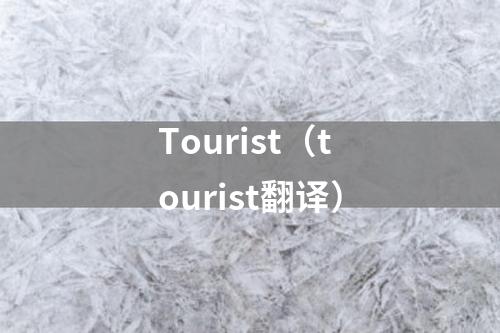 Tourist（tourist翻译）