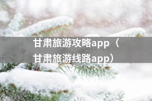 甘肃旅游攻略app（甘肃旅游线路app）